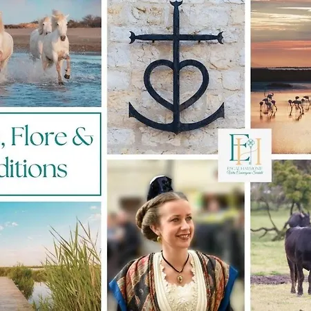 Apartamento L'echo Des Vagues Le Grau-du-Roi