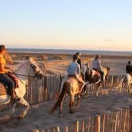 L'echo Des Vagues Le Grau-du-Roi