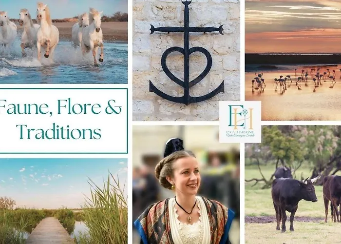 Apartamento L'echo Des Vagues Le Grau-du-Roi