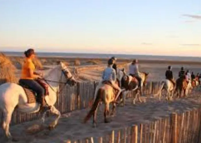 L'echo Des Vagues Le Grau-du-Roi
